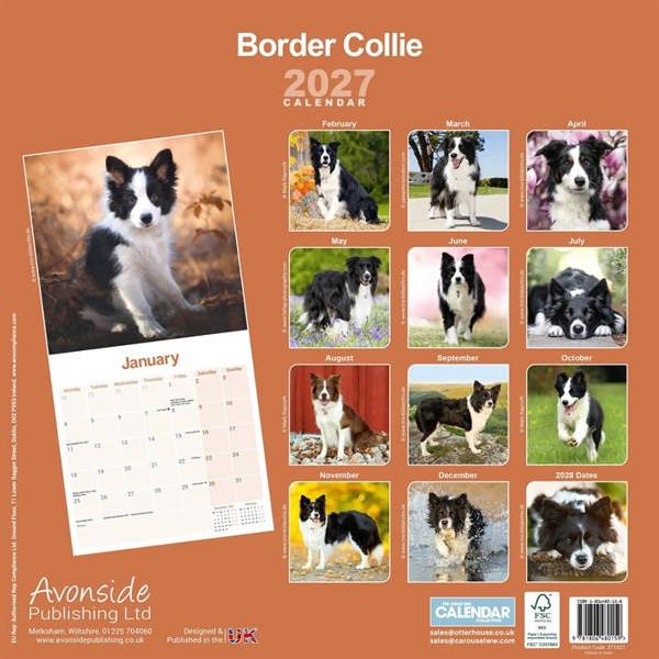 Border Collie Calendar 2027, Wall Calendars, Month To View, Dogs, Gift