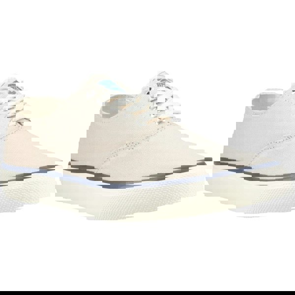 Sperry CVO Trainers 100% Cotton - Birch