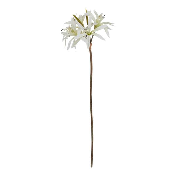 Wyld Haus Set of 3 Artificial Flowers White Nerine Lily Stems