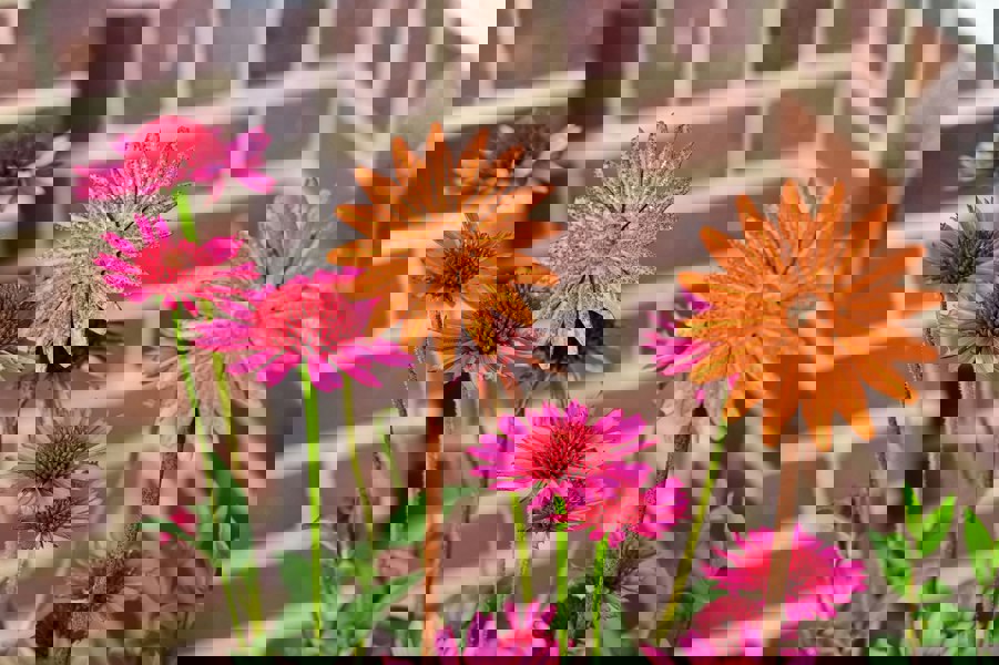 rusty metal flower for garden