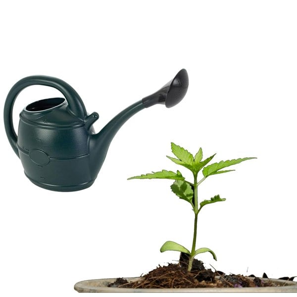 Easy To Use 13 Litre Green Watering Can With Rose Head Ideal For Everyday Gardening Tasks