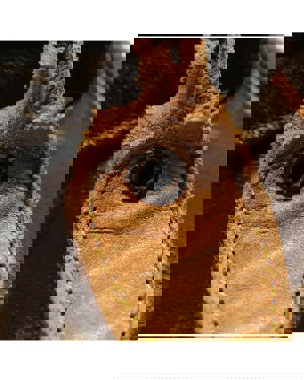 193972546.jpg
