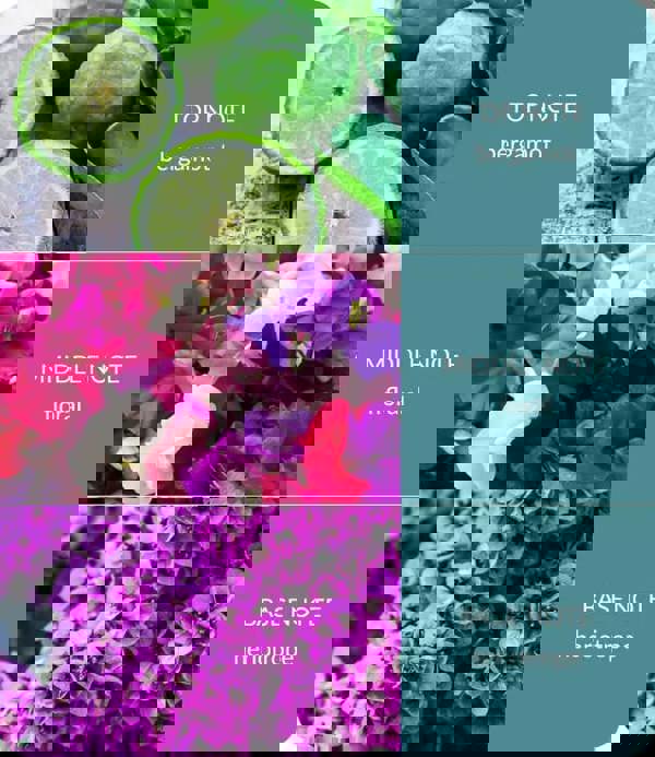 Heart & Home Sweet Pea - Wax Melt