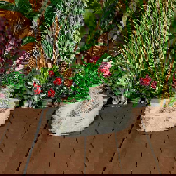 Adorable Stone Cast Bathing Hedgehog Garden Ornament