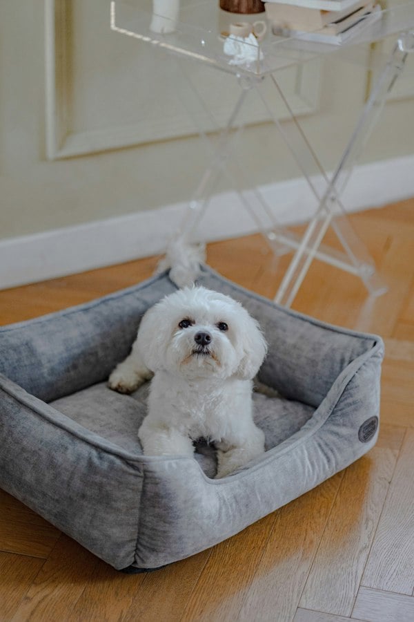 Snug and Cosy Pets Eco Rectangle Bed