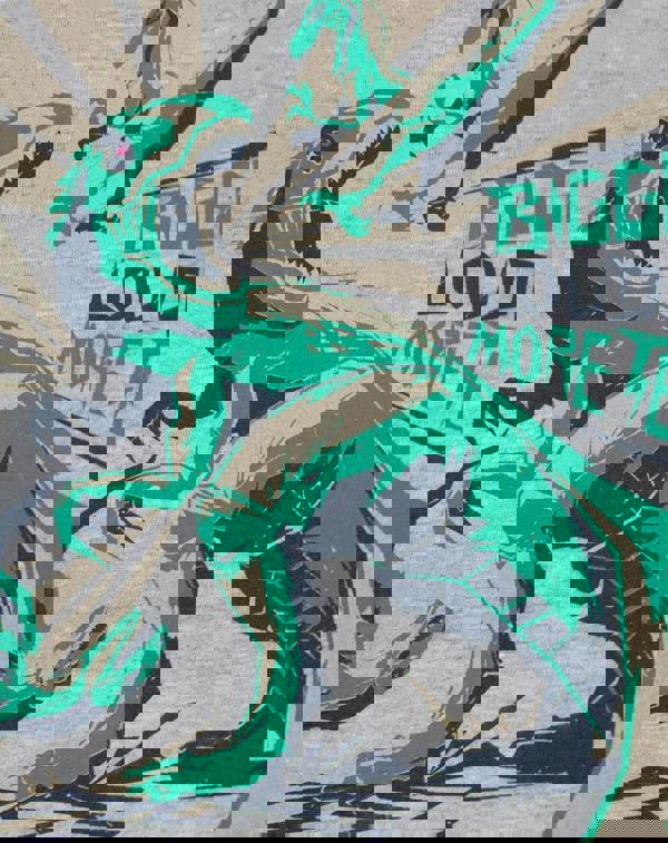 Jurassic World Boys Grey Dinosaur Short Sleeved T-Shirt