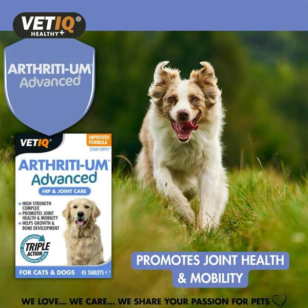 Mark & Chappell M&C Vetiq Arthriti-Um Advance 45 Tablets