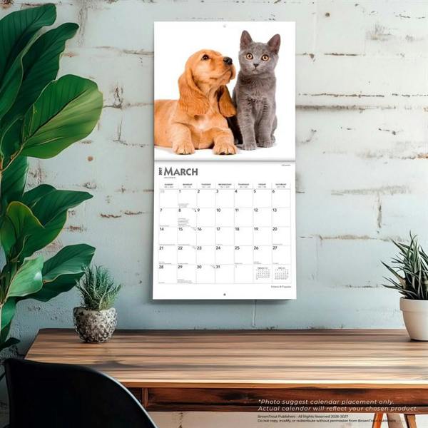 Kittens & Puppies Calendar 2027, Wall Calendars, Month To View, Cats, Gift