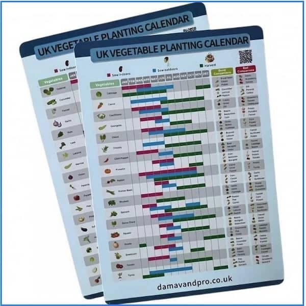 UK vegetable planting calendar 2026 A4 laminated chart on wooden table with seed packets.