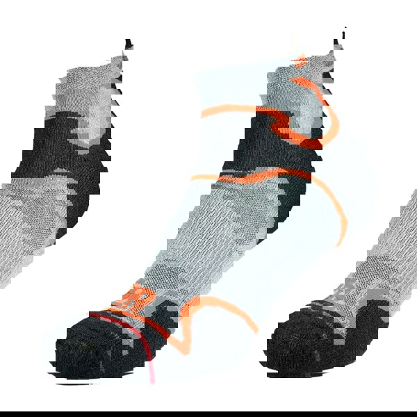 t4option1_1