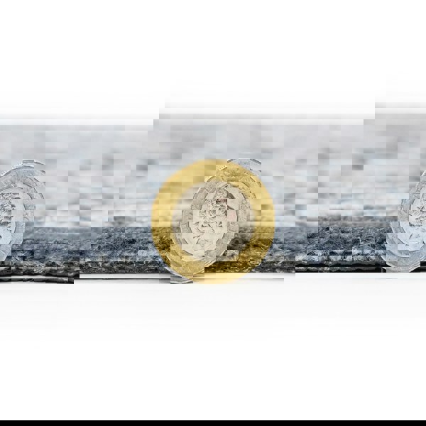 JVL Mega Mat Machine Washable Entrance Runner and Doormat Set, Flowers