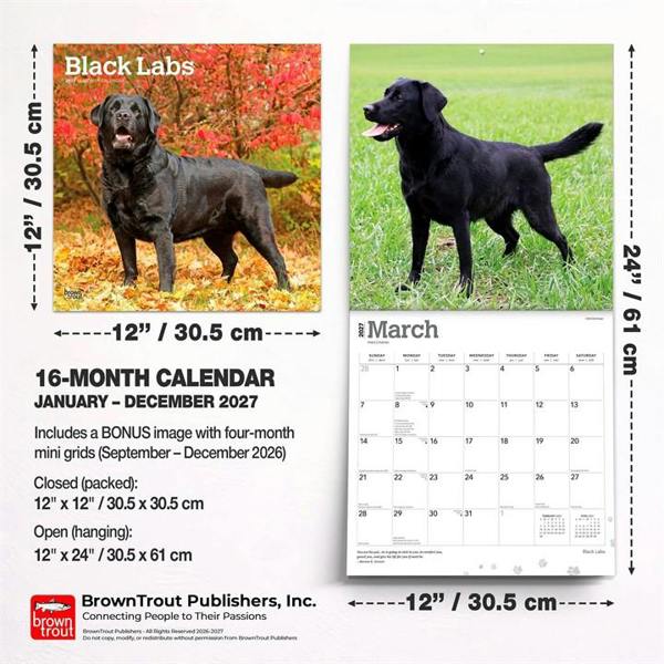Black Labs Calendar 2027, Wall Calendars, Month To View, Dogs, Gift