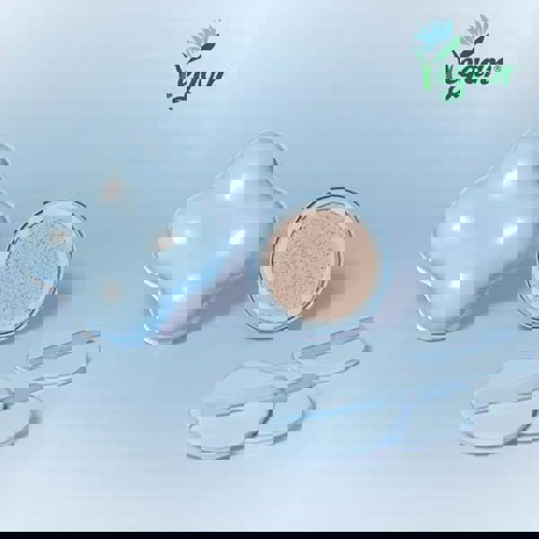 ETUDE Cloud Filter Cushion