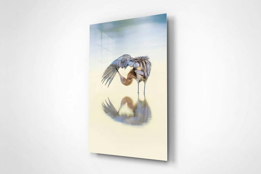 bird photo print for walls