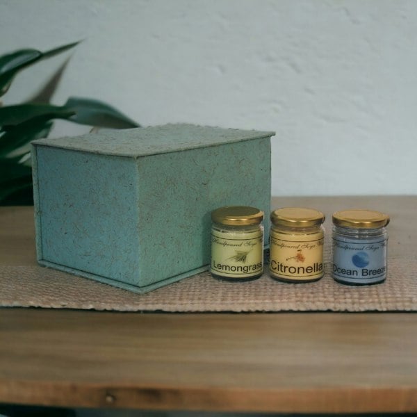 Artisan Furniture Candle Gift Set of 3 (Summer)