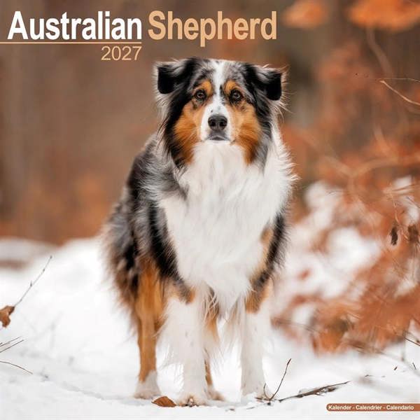 Australian Shepherd Calendar 2027, Wall Calendars, Month To View, Dogs, Gift