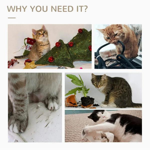 Cats using scratching post; grey jute climber with carpet base and dangling ball