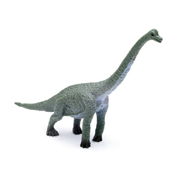CollectA Box of Mini Dinosaurs Box 2