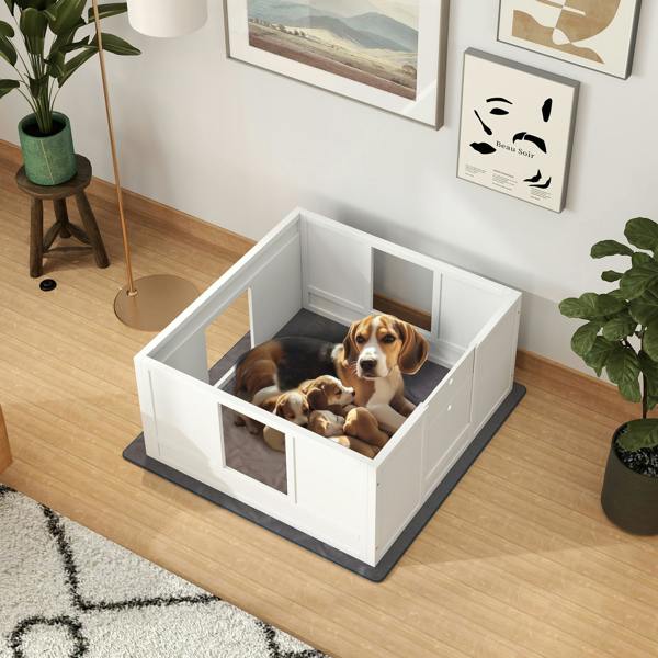 Whelping Box