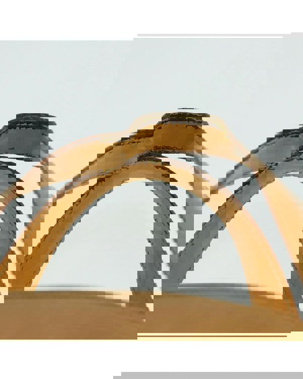 193987003.jpg
