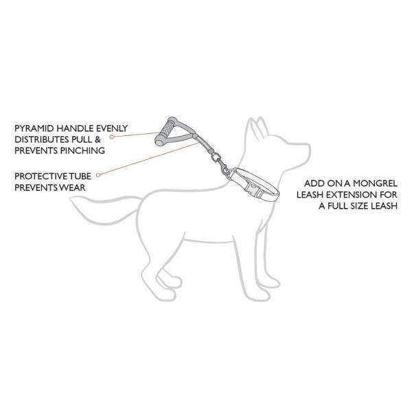 EzyDog Mongrel Dog Lead