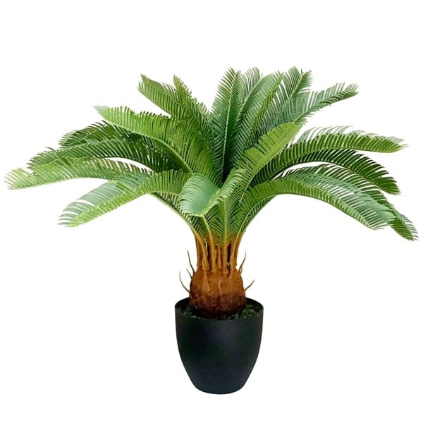 Leaf 70cm Artificial Tropical Cycas Palm Plant