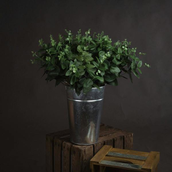Cineraria Eucalyptus Spray