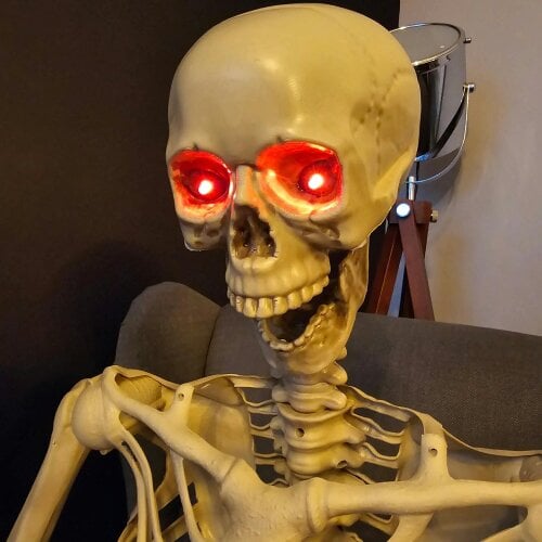 Samuel Alexander Pack of 3 5ft (150cm) Posable Full Body Halloween LED Skeleton Decoration with Movable Joints and LED Eyes