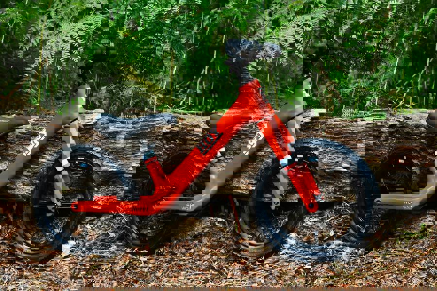 Hoy Weee! 12" Balance Bike - Red