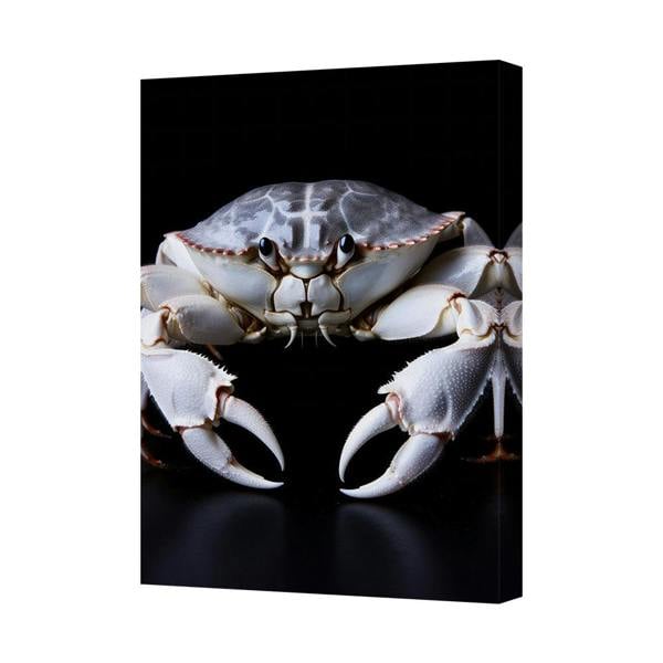Benjamin Tate Design Crab Close Up Canvas Wall Art Print Ocean Theme Decor