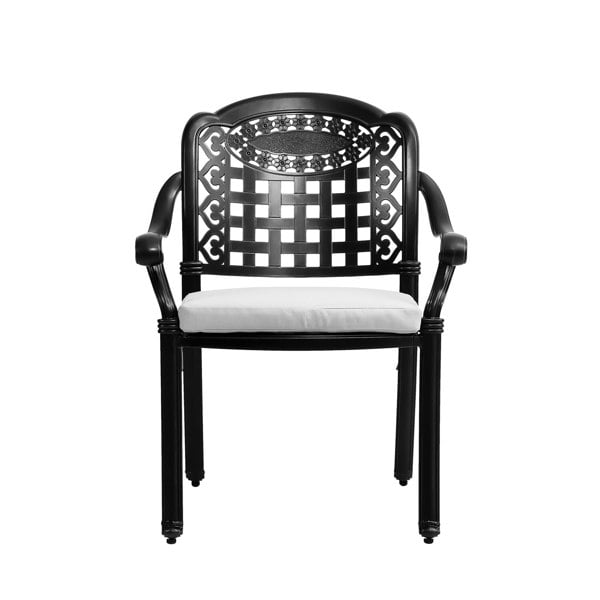 Set of 2 Outdoor Dining Chairs with Cushions Cast Aluminum Garden Seating Living and Home