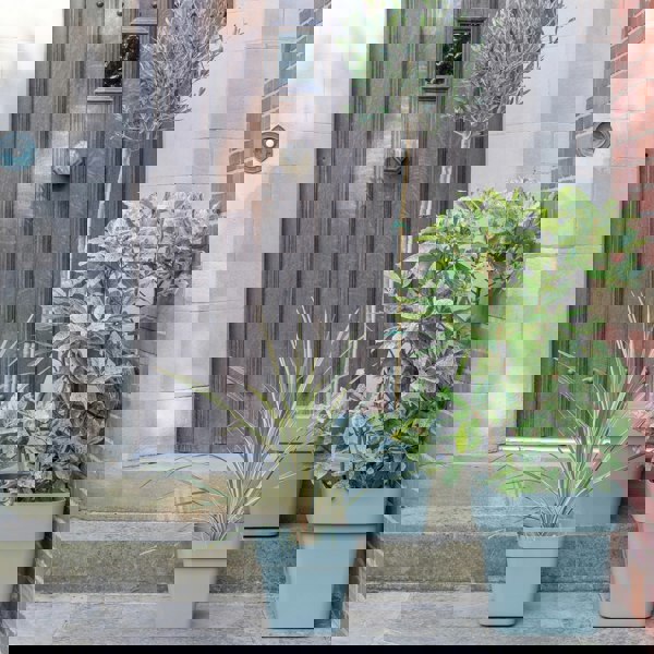 #color_sage