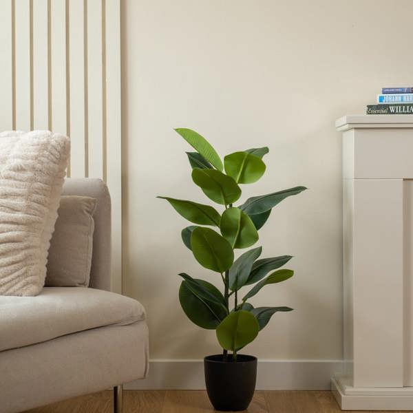 Scottish Everlastings 85cm Real Touch Rubber Tree