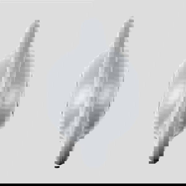 Phoenix Fitness Kettlebell 6KG