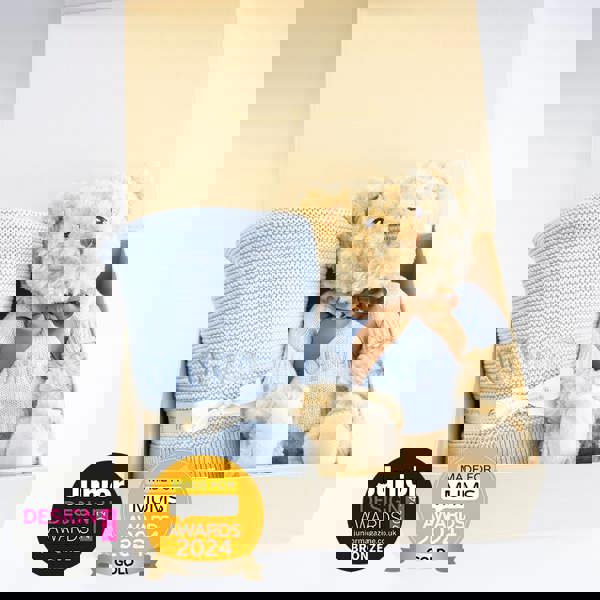 The Baby Gifting Company NEW BABY BLANKET AND TEDDY