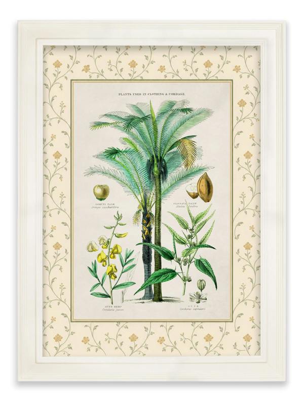 Exceptional Art c.1877 Plants Used as Food and Clothing with Floral Mount - Cream Hurstwood Frame