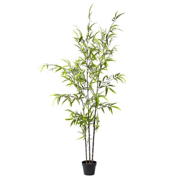Scottish Everlastings 190cm Real Touch KD Bamboo Tree