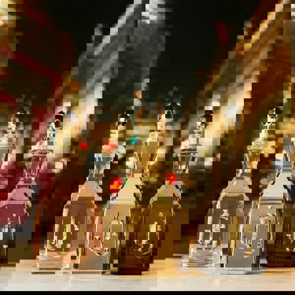 Jimmy Choo Women's Perfume Jimmy Choo I Want Choo Le Parfum Women's Perfume Spray (40ml, 60ml, 100ml)