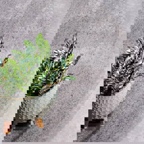 Myk Olaf High Pile Rug Plain Design