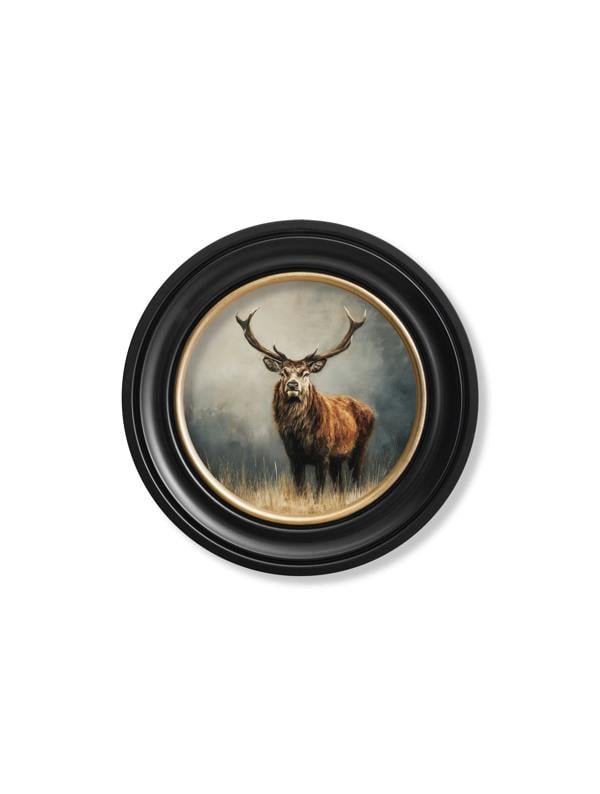Exceptional Art Highland Stag - Oxford round frame