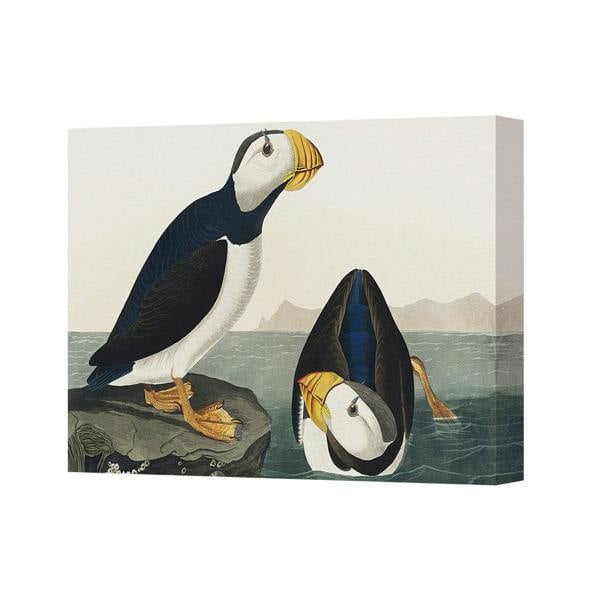 Benjamin Tate Design Puffins On Rocky Shore Canvas Wall Art Print For Coastal Decor