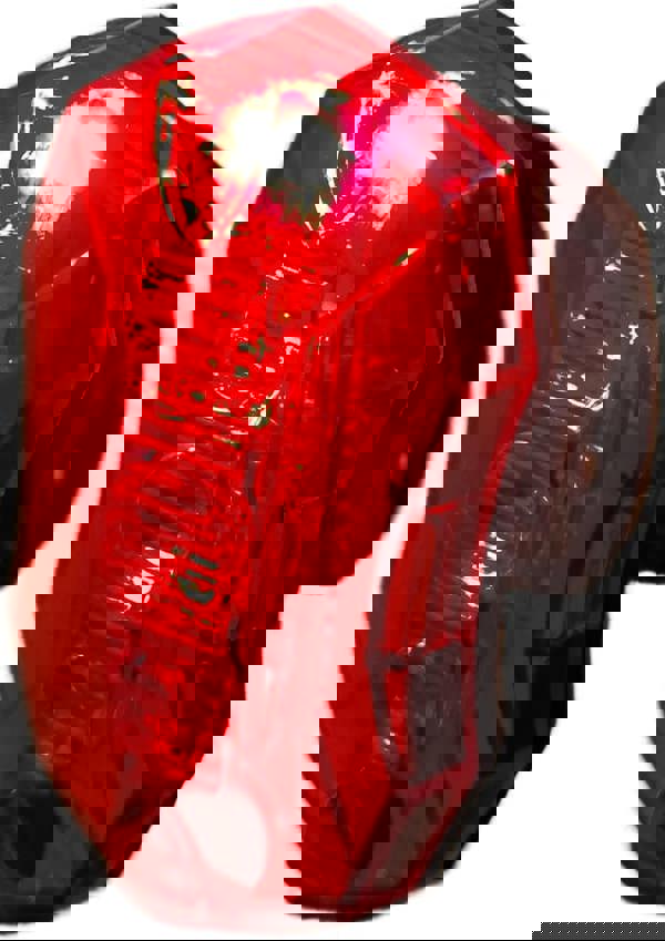 Awe Super Bright 5 x Red SMD LEDs Battery Rear Bike Light