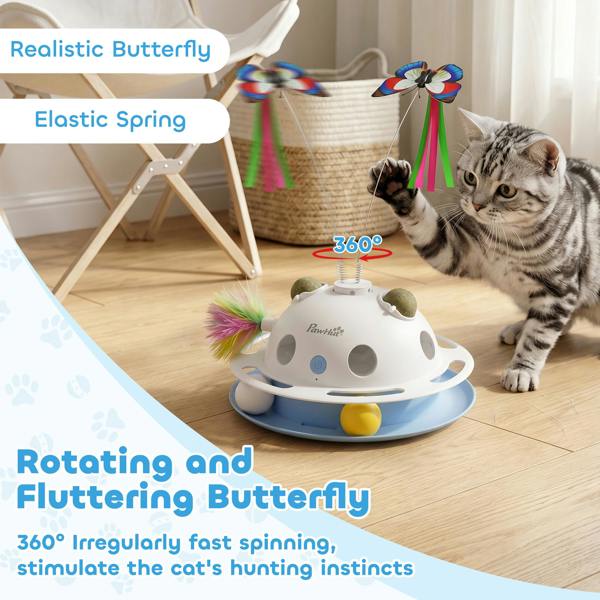 Cat Toys