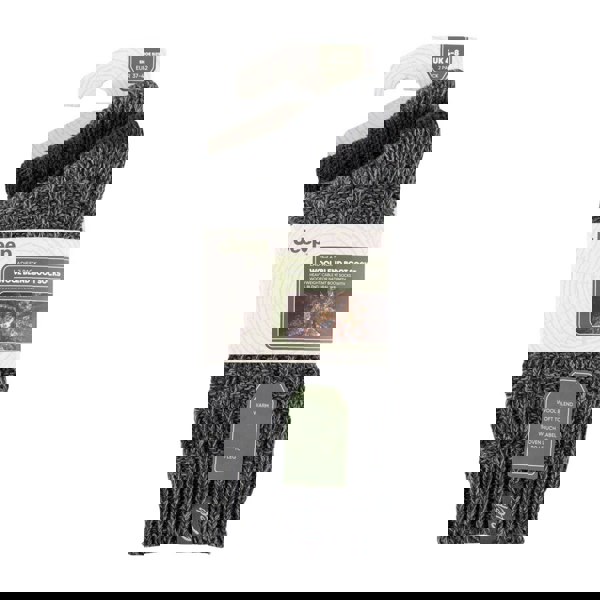 t4option1_1