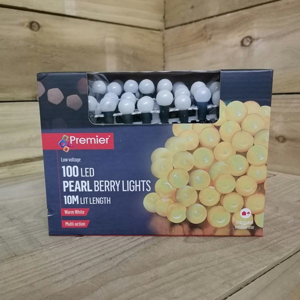 Samuel Alexander 10m 100 LED Multi Action Outdoor Pearl Christmas Lights Warm White