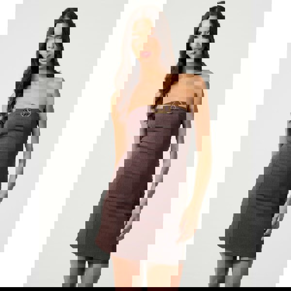 Pink Vanilla Gold Detail Bandeau Mini Dress