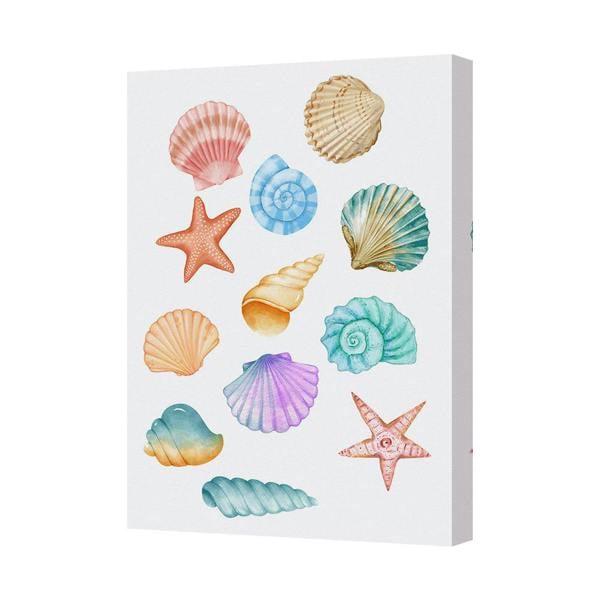 Benjamin Tate Design Seashells On White Canvas Wall Art Print Ocean Decor