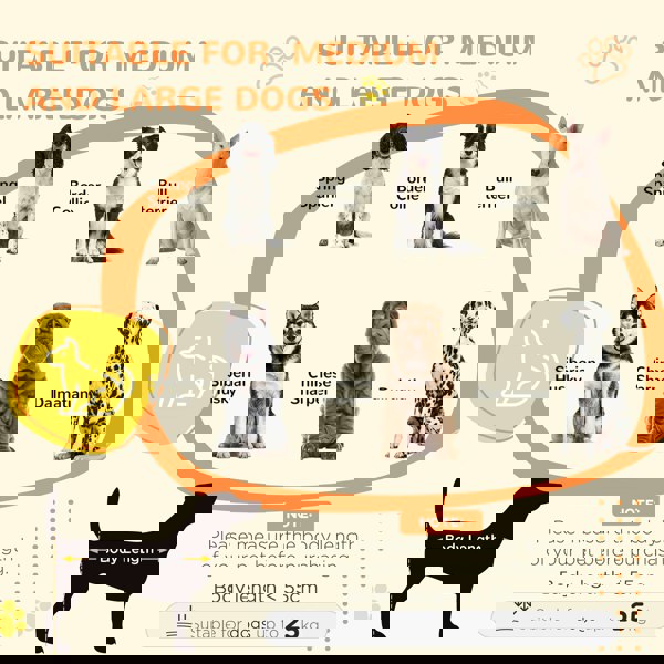D02-138V70GY