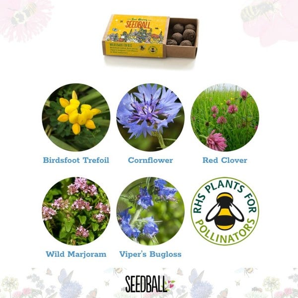 SEEDBALL Eco-Friendly Wildflower Seeds Stocking Fillers (Set of Three)