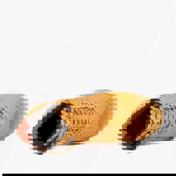 1637590204-66348100.jpg